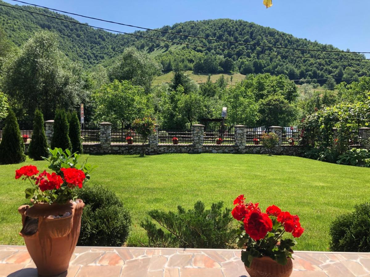 Hotel Casa Antonia Chiscau Zewnętrze zdjęcie