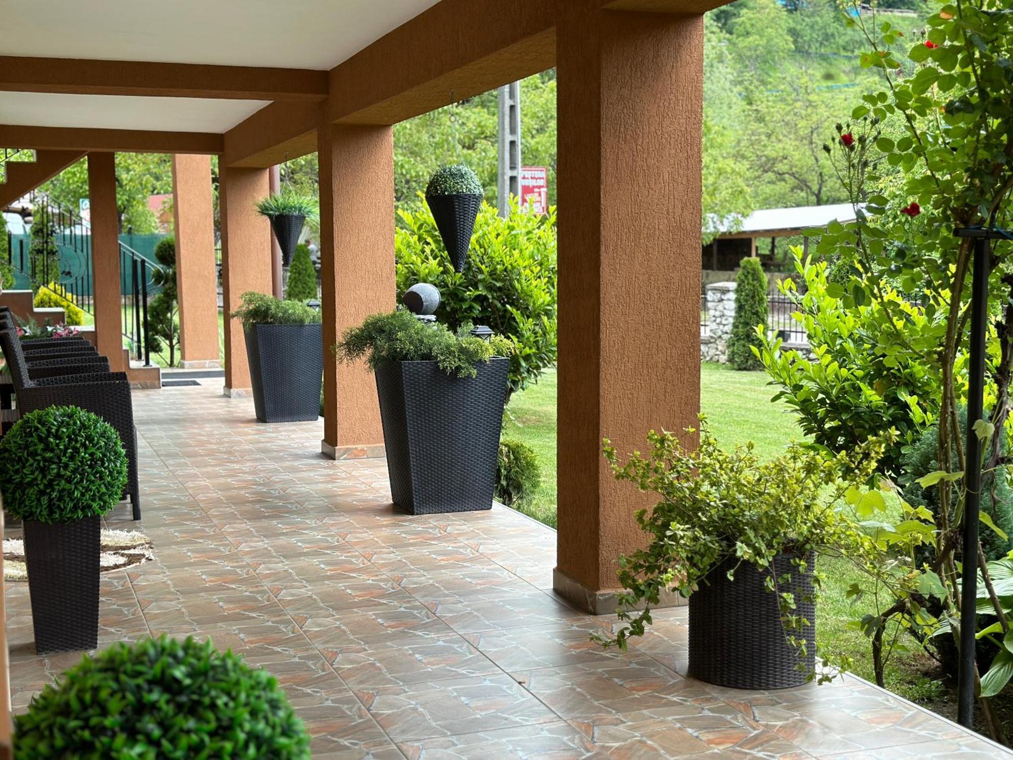 Hotel Casa Antonia Chiscau Zewnętrze zdjęcie