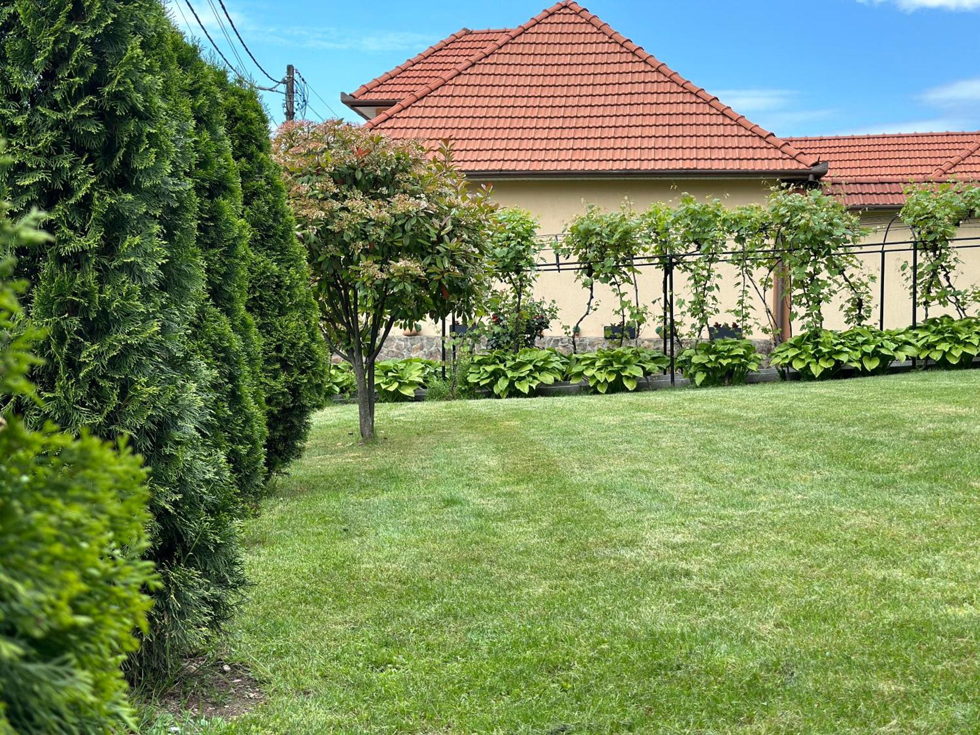 Hotel Casa Antonia Chiscau Zewnętrze zdjęcie